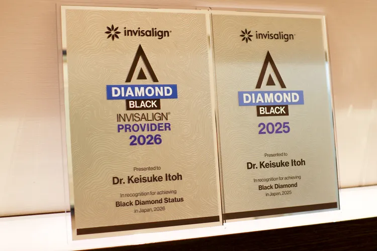 ブラックダイヤモンド・プロバイダーの盾